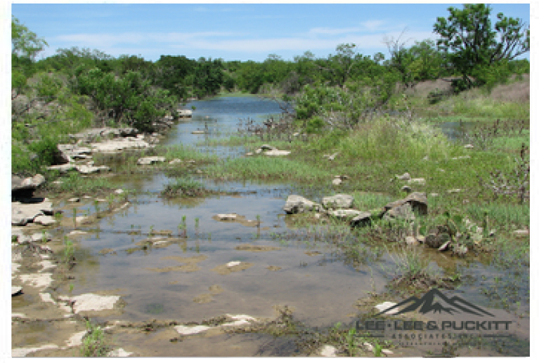 Printable Flyer – Ranch/Land