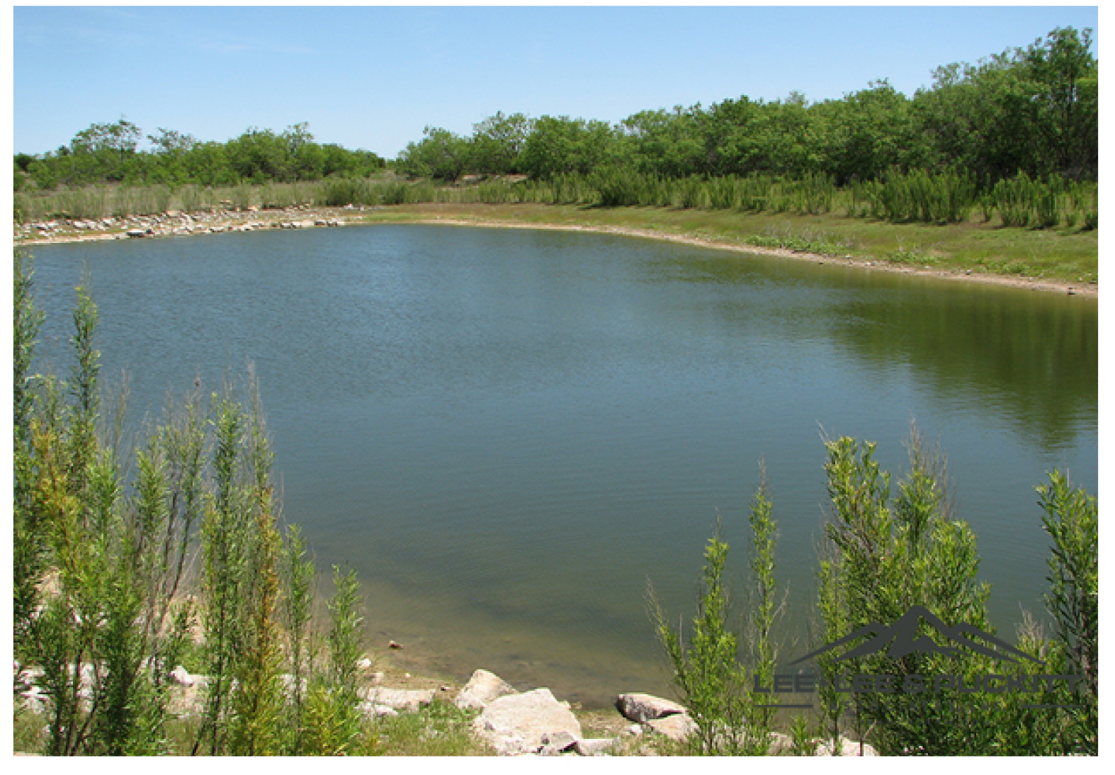 Printable Flyer – Ranch/Land