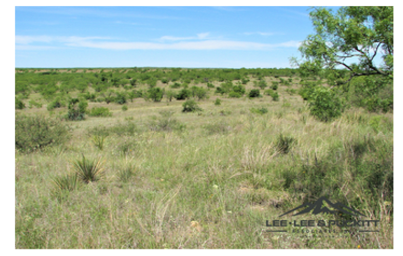 Printable Flyer – Ranch/Land