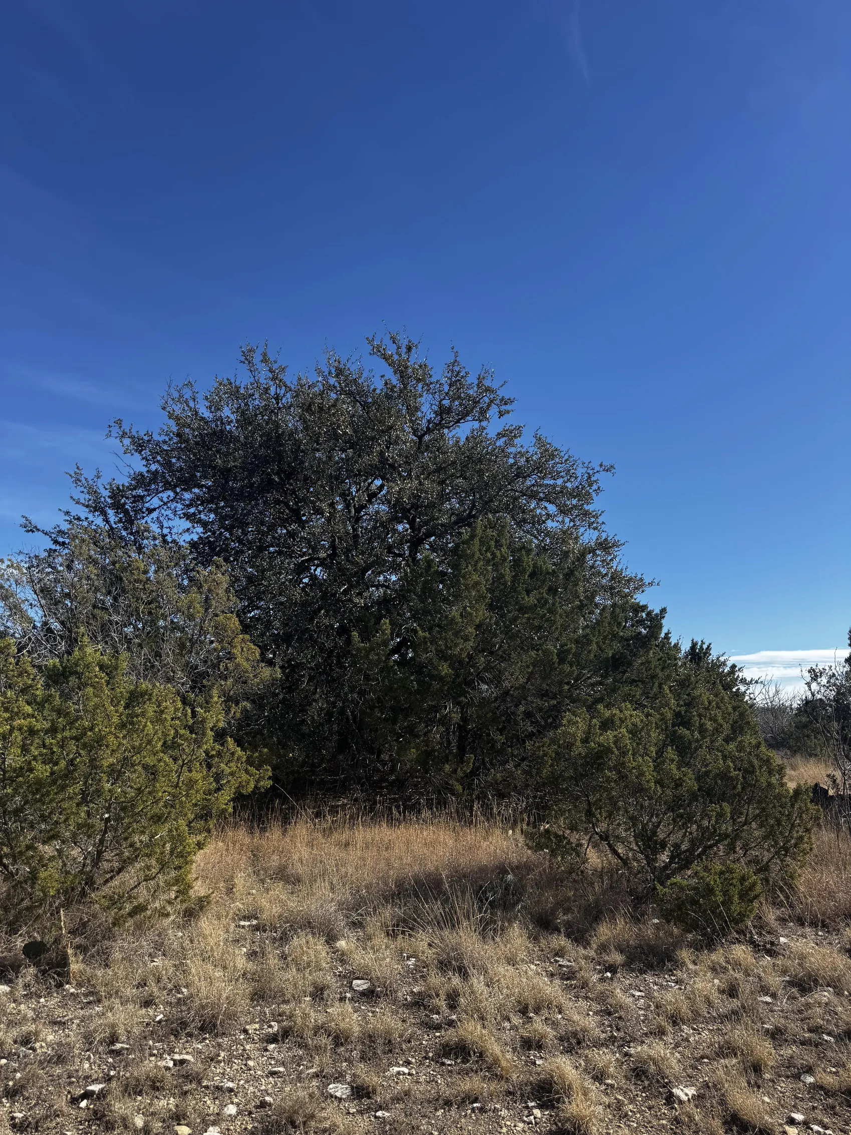 Listing Main Thumbnail #1