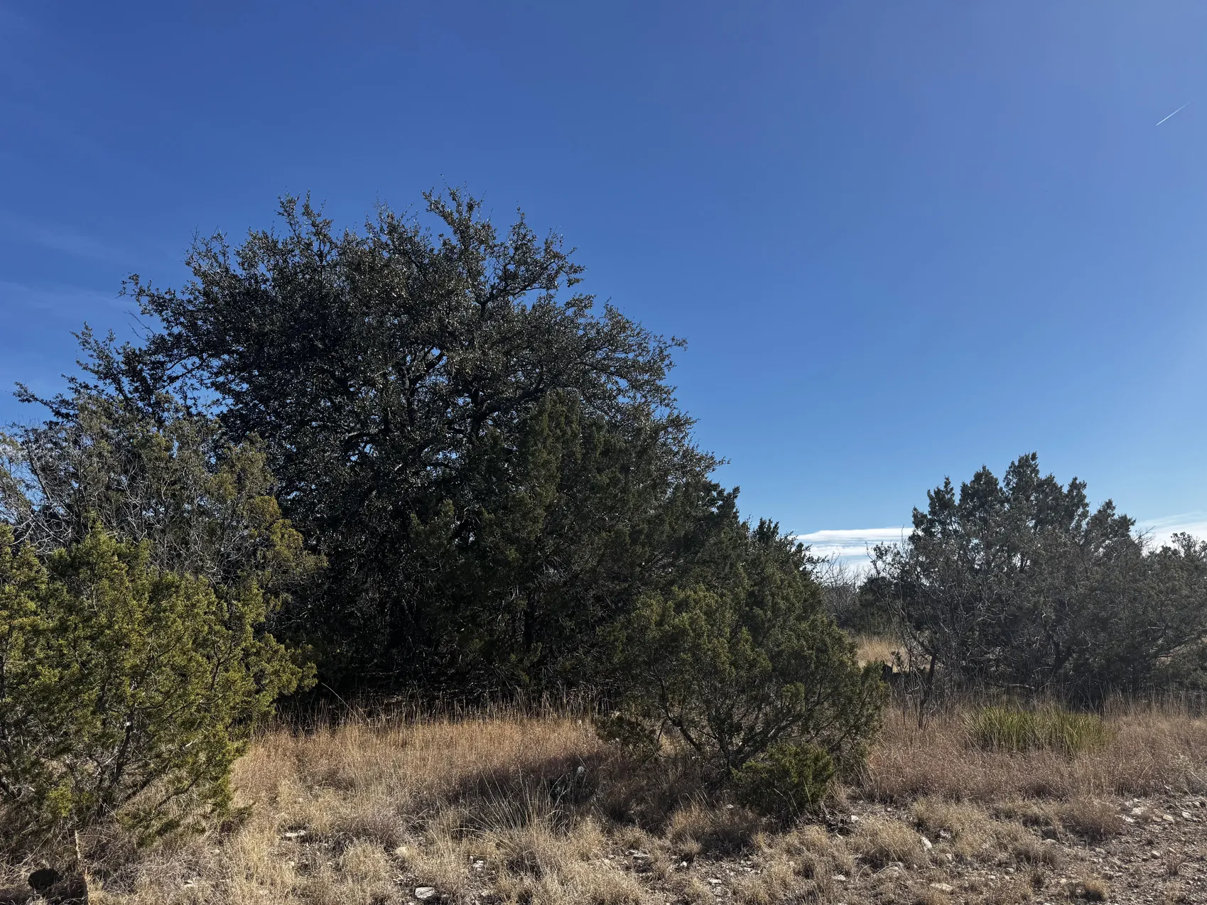 Listing Main Thumbnail #1