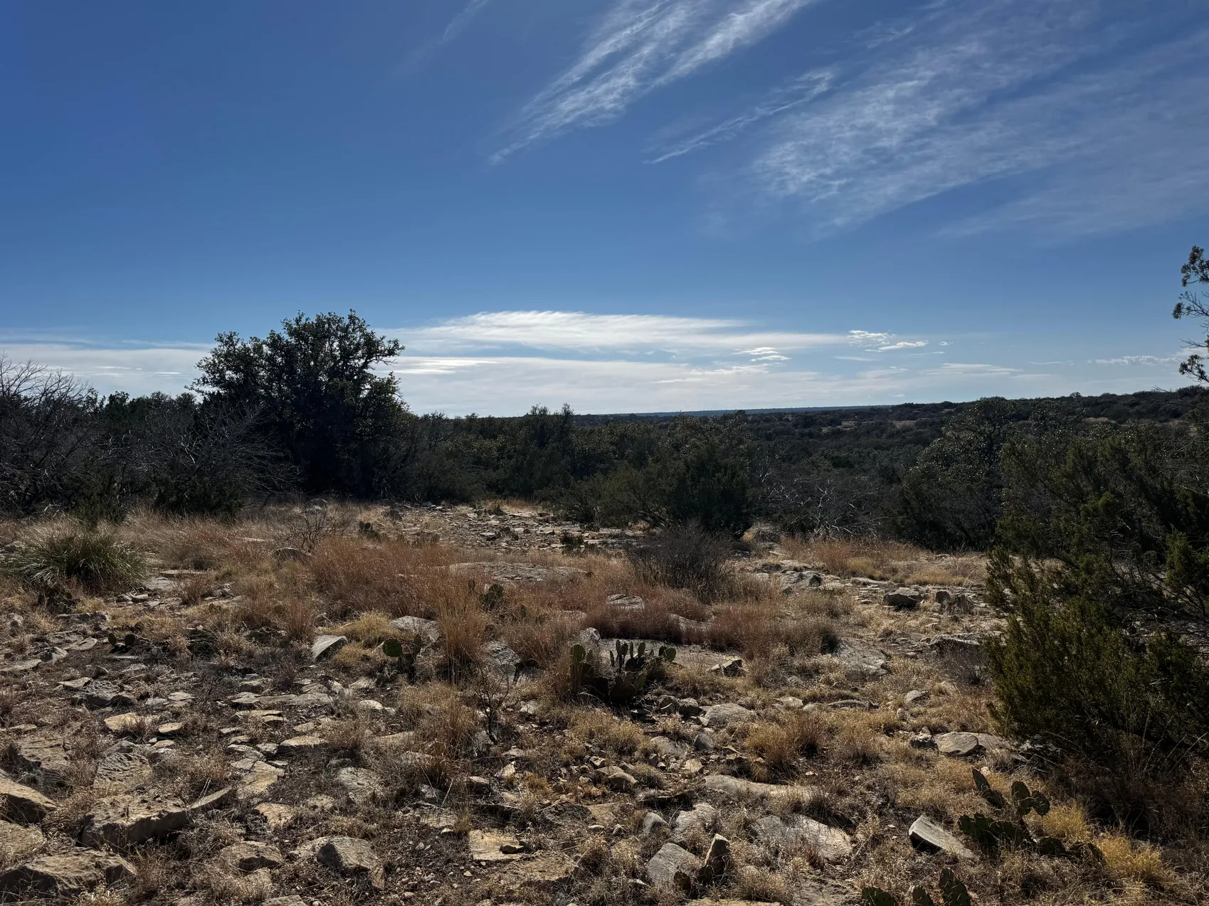 Listing Main Thumbnail #1