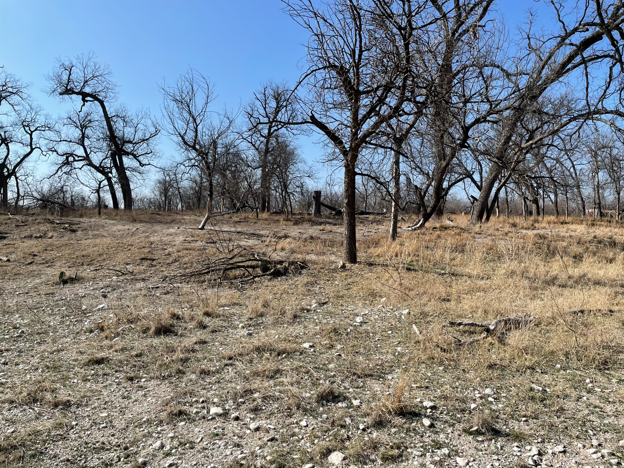 Listing Main Thumbnail #1