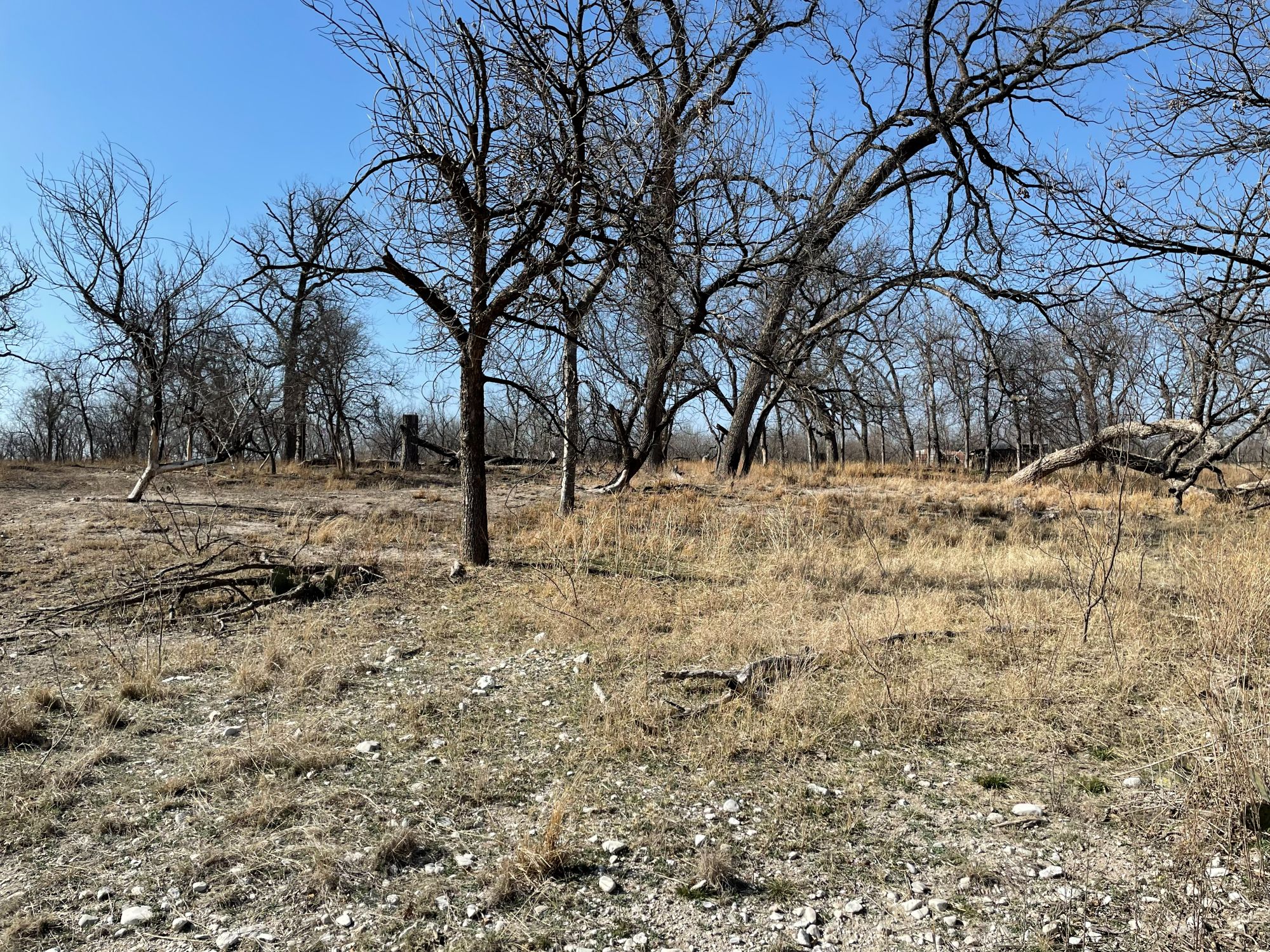 Listing Main Thumbnail #1