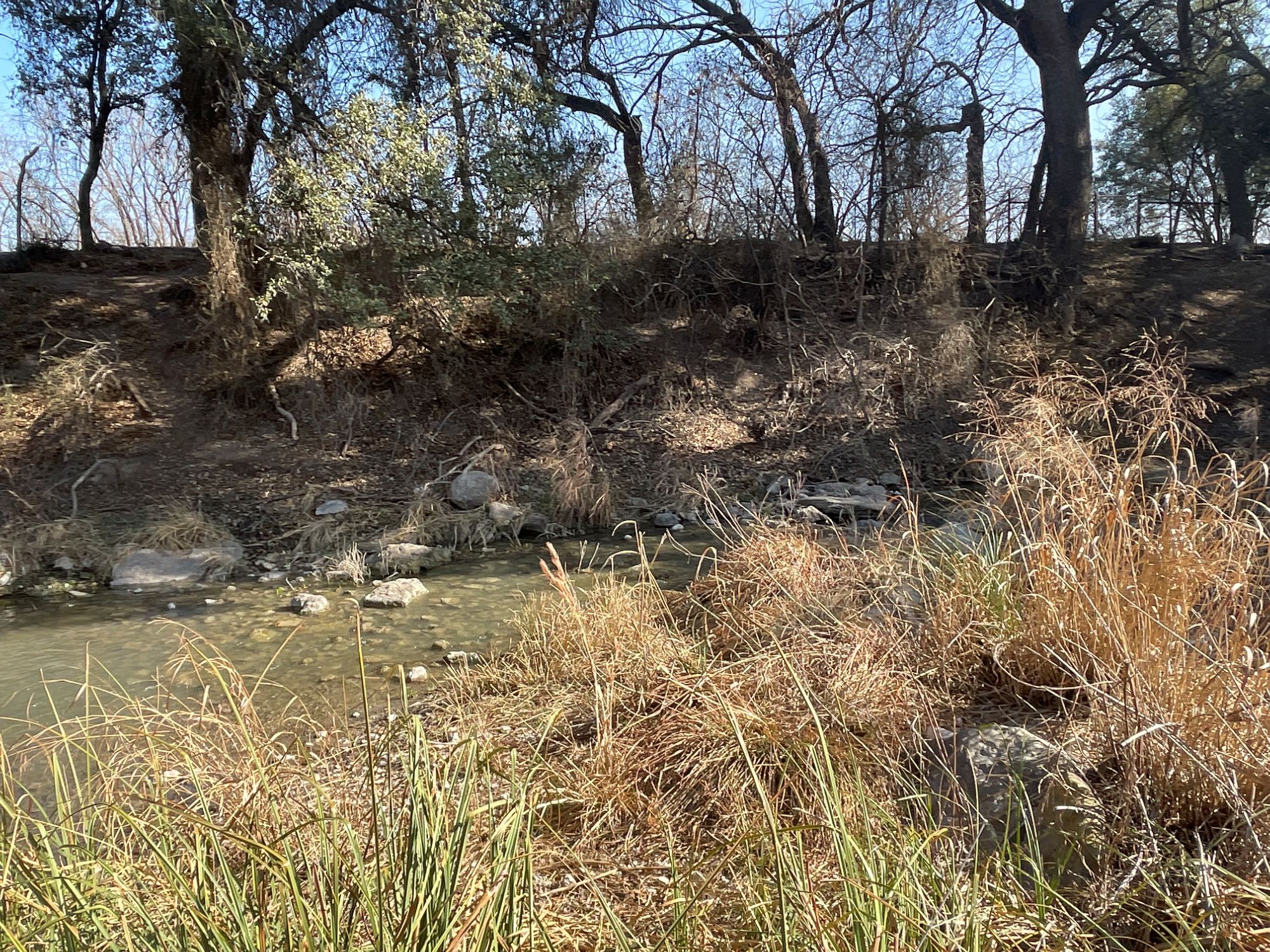 Listing Main Thumbnail #1