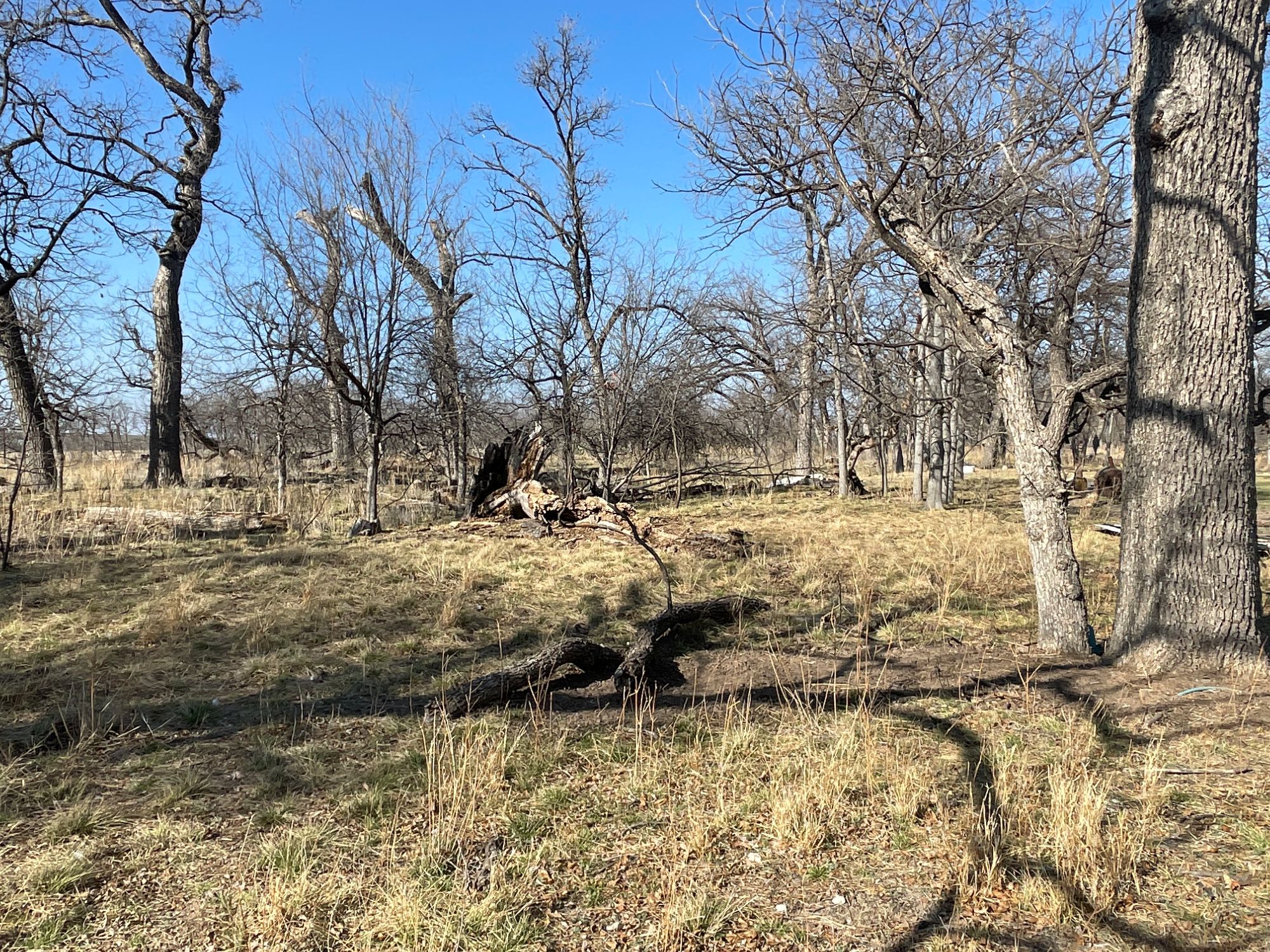 Listing Main Thumbnail #1