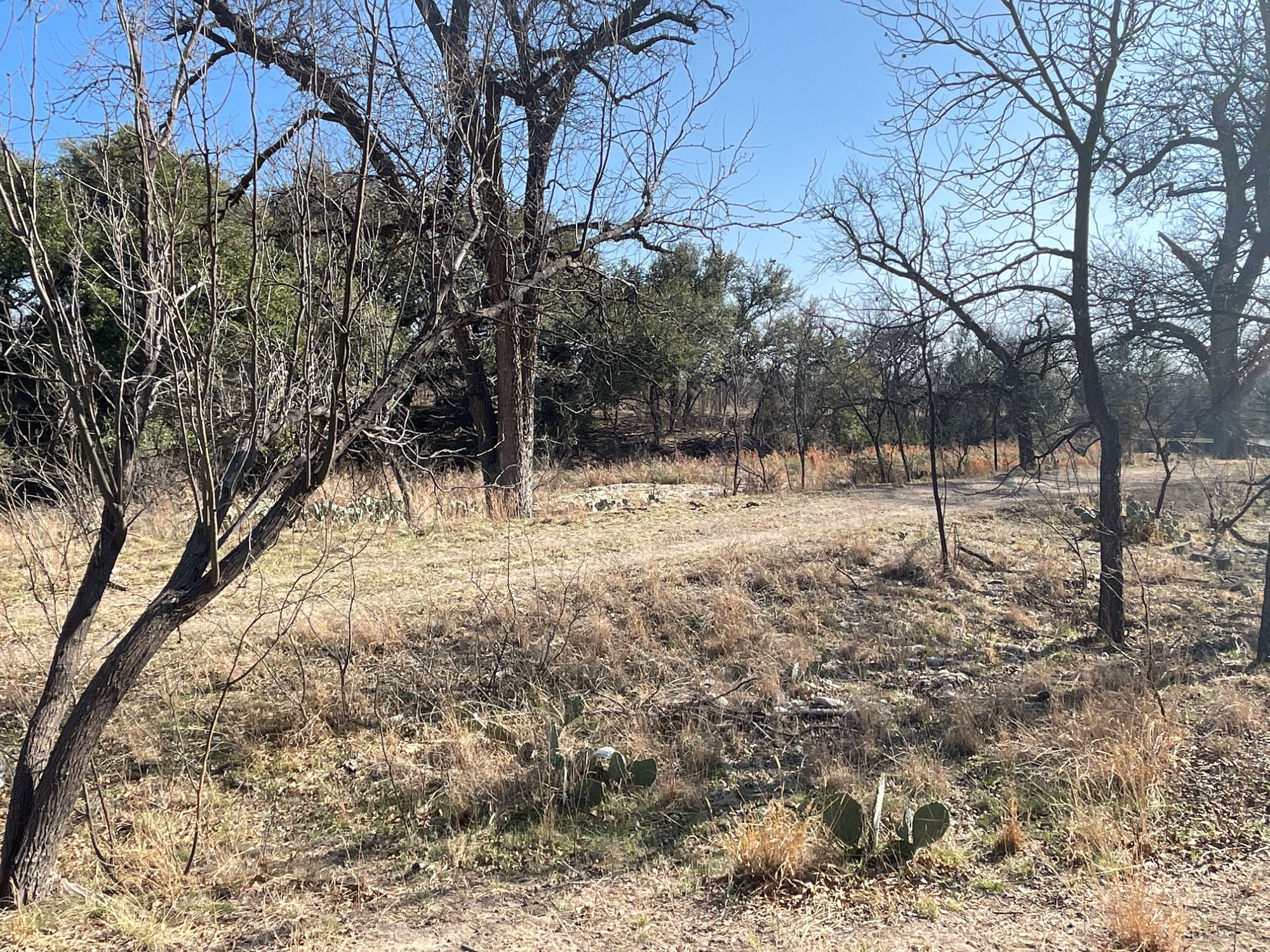 Listing Main Thumbnail #1