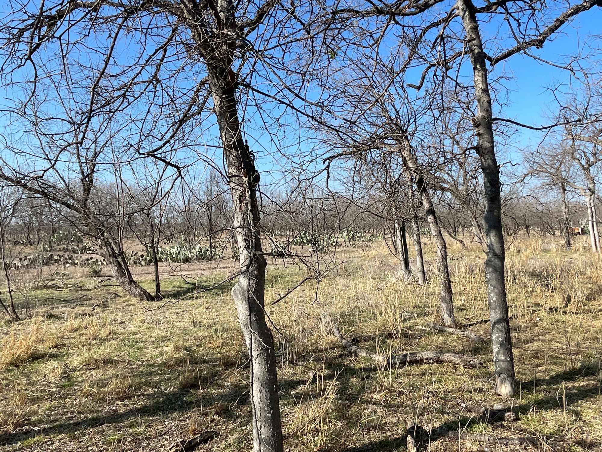 Listing Main Thumbnail #1