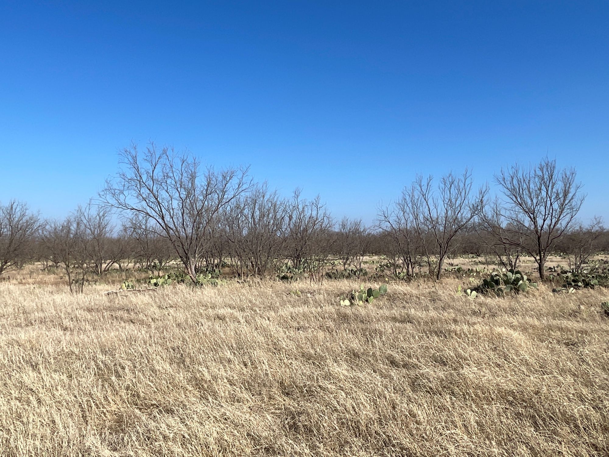 Listing Main Thumbnail #1